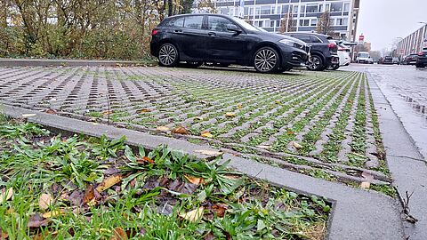 Groen parkeervak Willem de Zwijgerlaan
